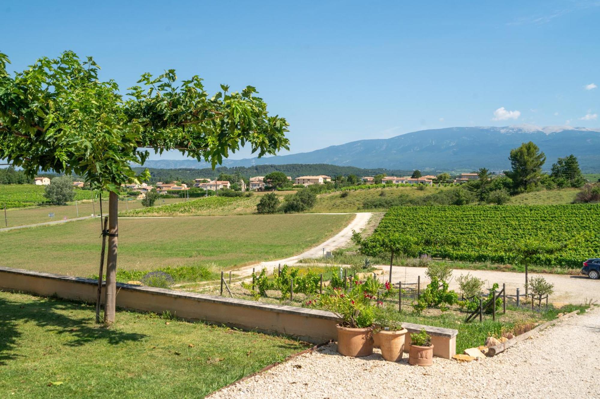 Les Terrasses De Cascavelle Villa Blauvac Ngoại thất bức ảnh